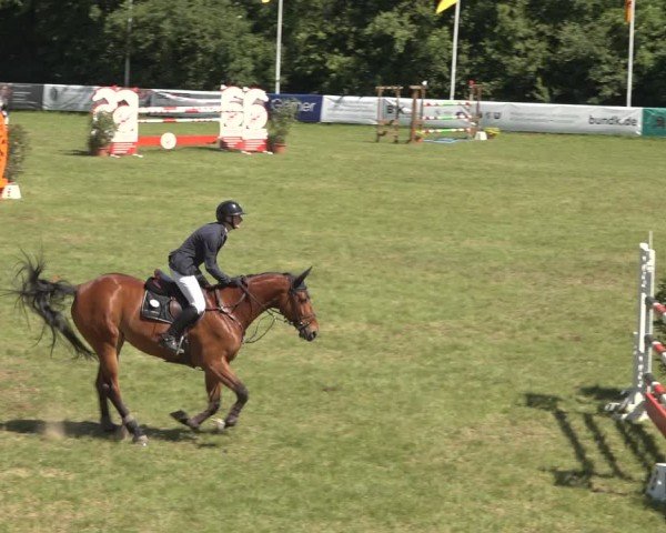 Reitturnier Scharnebeck 2024