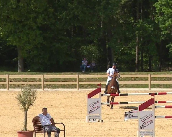 Reitturnier Tiefenhof/Opf. 2024