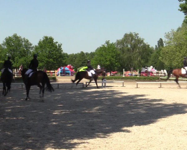 Reitturnier Hamm-Rhynern 2024