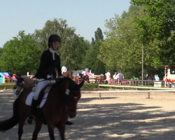 Reitturnier Hamm-Rhynern 2024
