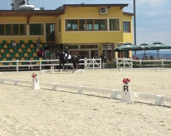 Reitturnier St. Margarethen 2024