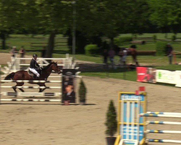 Reitturnier Hamm-Rhynern 2024