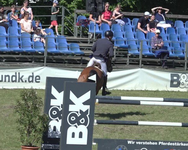 Reitturnier Scharnebeck 2024