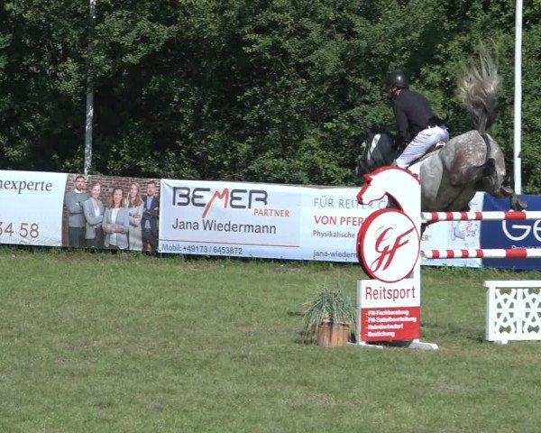 Reitturnier Scharnebeck 2024