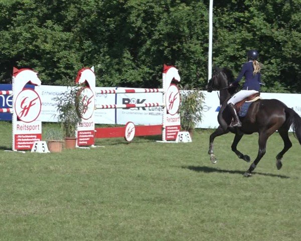 Reitturnier Scharnebeck 2024