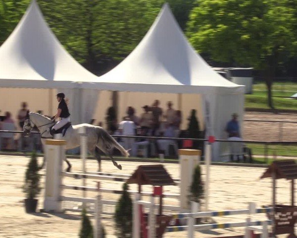 Reitturnier Hamm-Rhynern 2024