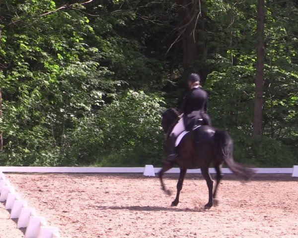 Reitturnier Helmsdorf 2024