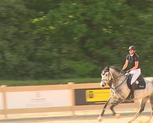 Reitturnier Tiefenhof/Opf. 2024