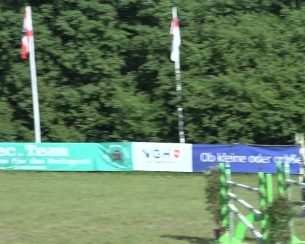 Reitturnier Scharnebeck 2024