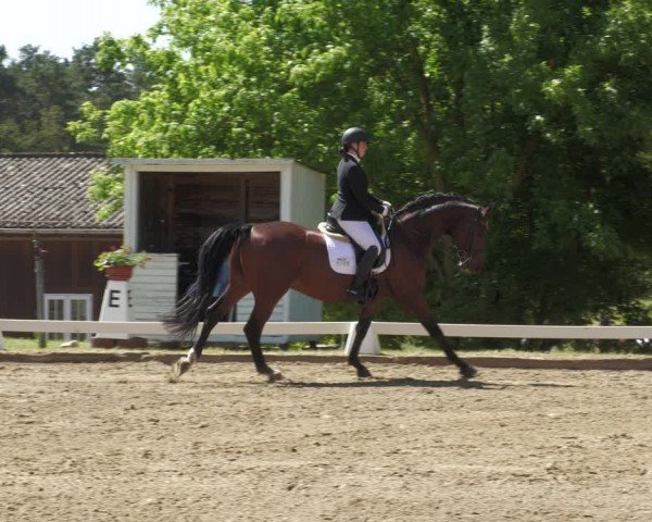 Reitturnier Teupitz 2024