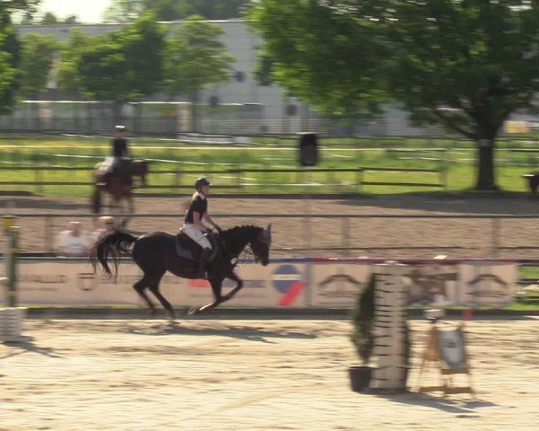 Reitturnier Hamm-Rhynern 2024