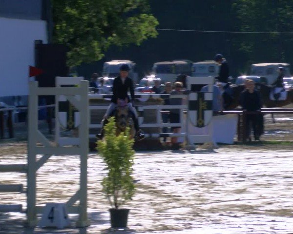 Reitturnier Dorsten 2024