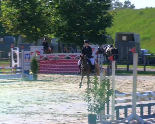 Reitturnier Dorsten 2024