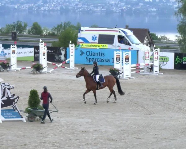 Reitturnier Wädenswil 2024