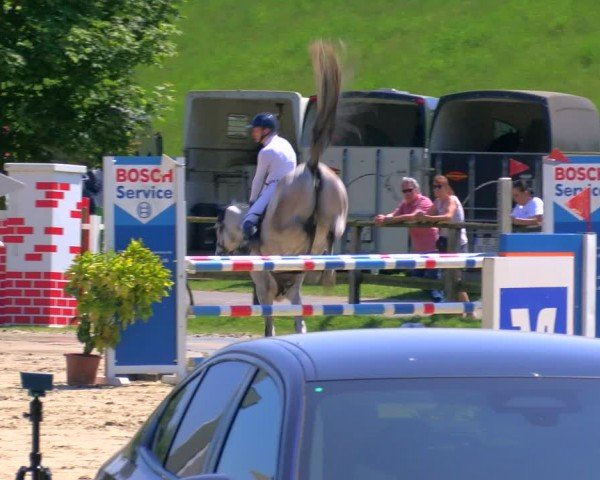 Reitturnier Dorsten 2024