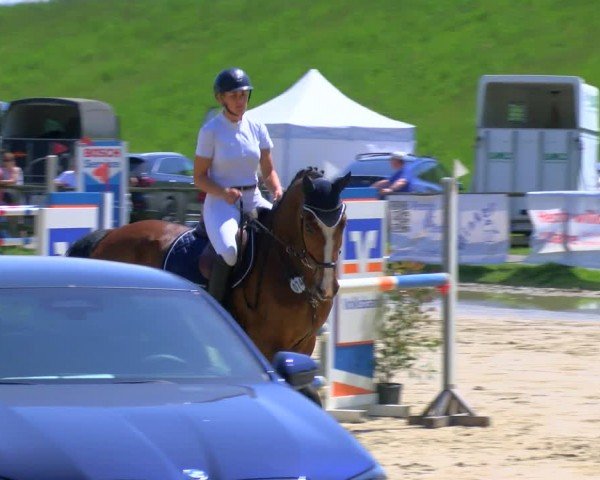 Reitturnier Dorsten 2024