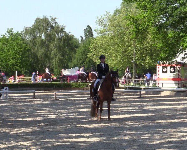 Reitturnier Hamm-Rhynern 2024