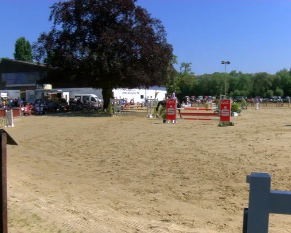 Reitturnier Dorsten 2024