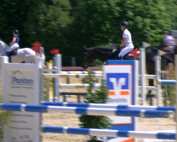 Reitturnier Dorsten 2024