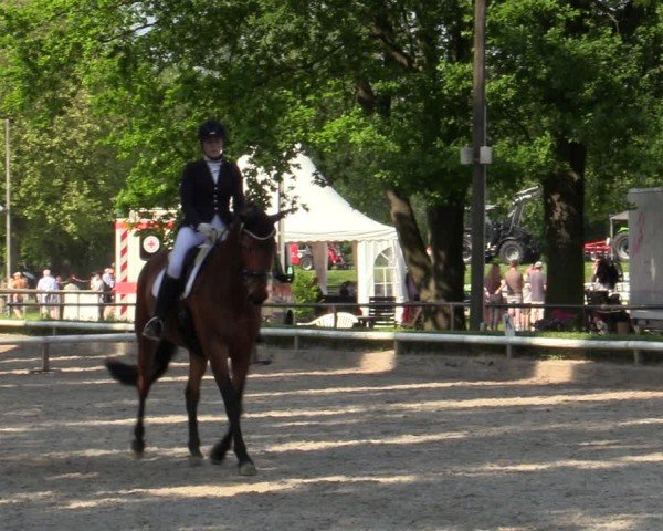 Reitturnier Hamm-Rhynern 2024