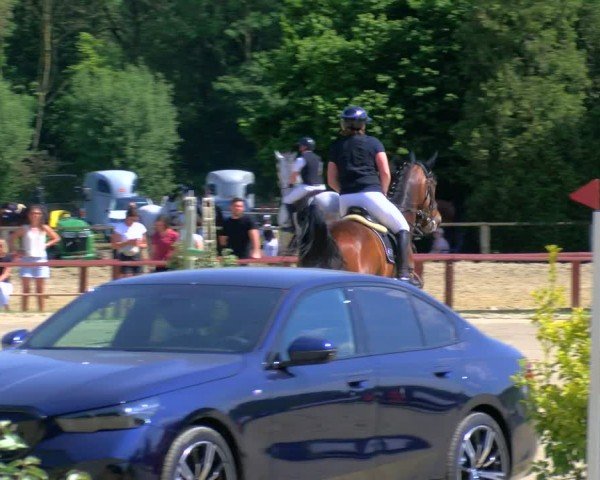 Reitturnier Dorsten 2024