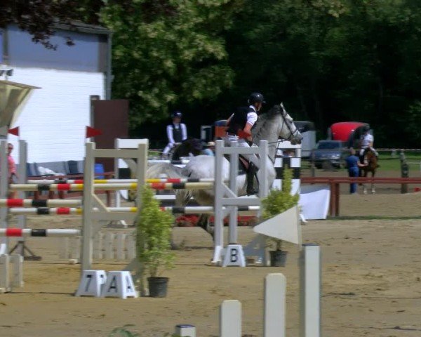 Reitturnier Dorsten 2024
