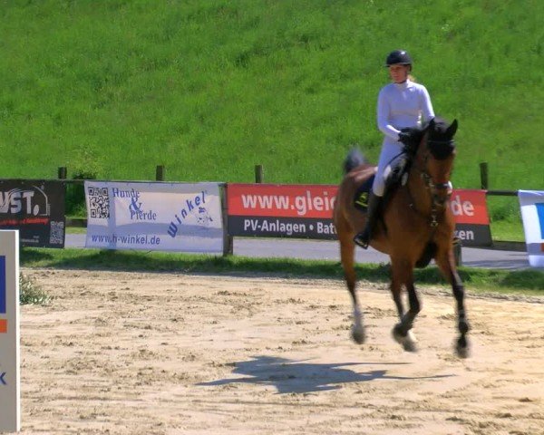 Reitturnier Dorsten 2024