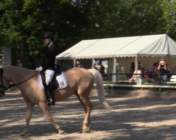 Reitturnier Hamm-Rhynern 2024