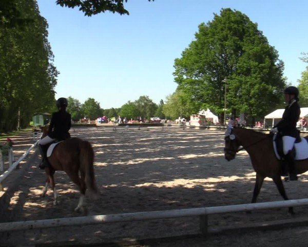 Reitturnier Hamm-Rhynern 2024