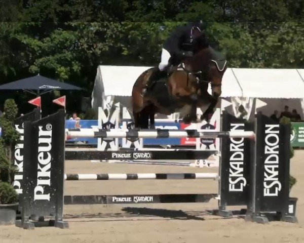 jumper BRIXX (Oldenburg, 2011, from Black Jack 175)