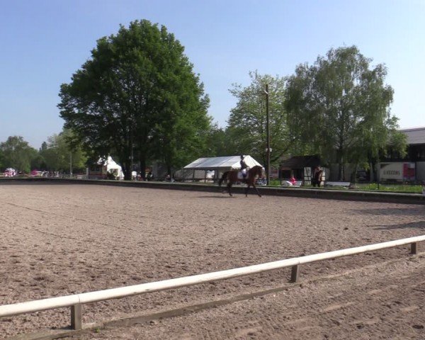 Reitturnier Hamm-Rhynern 2024