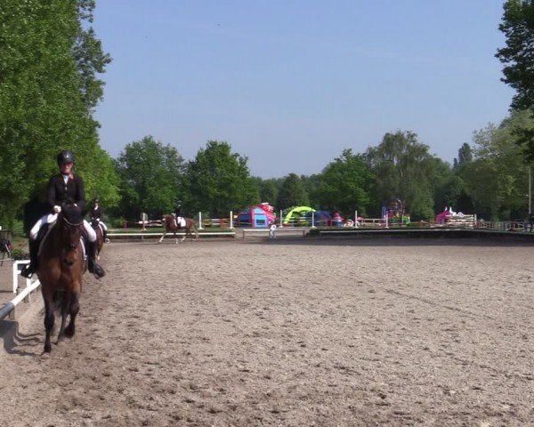 Reitturnier Hamm-Rhynern 2024