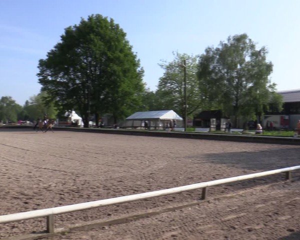 Reitturnier Hamm-Rhynern 2024