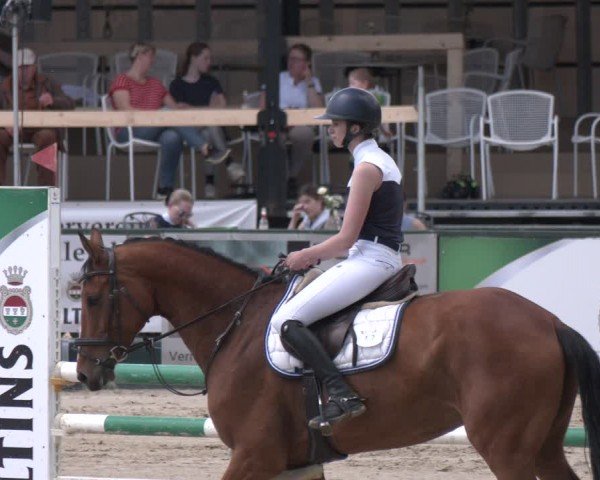 Reitturnier Hellefeld 2024