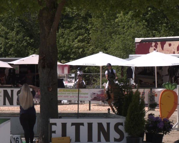 Reitturnier Hellefeld 2024