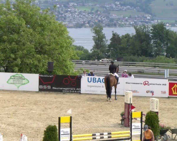 Reitturnier Wädenswil 2024