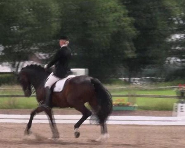 Weser Ems Meisterschaften Cloppenburg 2012