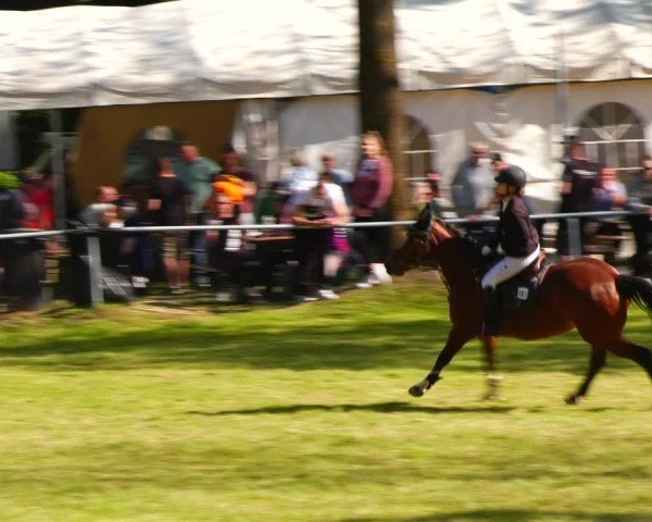 Reitturnier Helmsdorf 2024