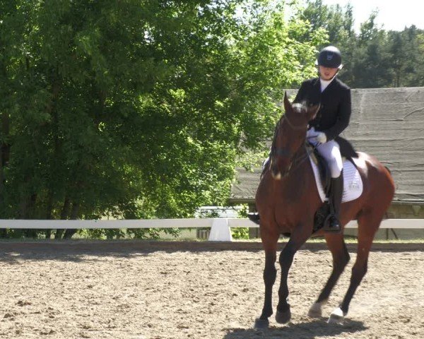 Reitturnier Teupitz 2024