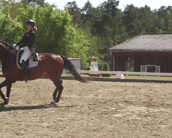 Reitturnier Teupitz 2024