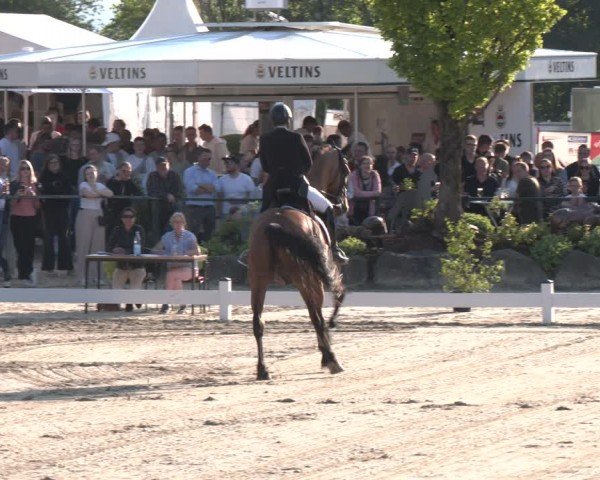 Reitturnier Hellefeld 2024