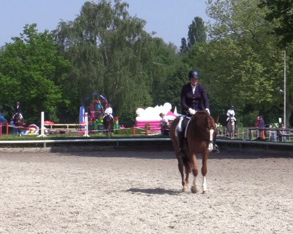 Reitturnier Hamm-Rhynern 2024