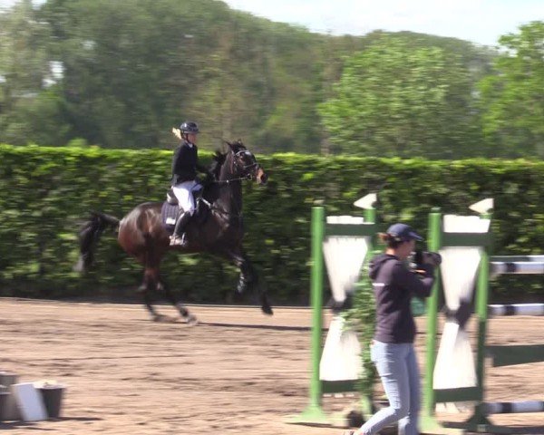Reitturnier Lentzke - Reitanlage Krehl 2024