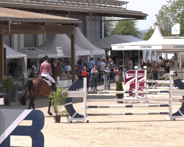 Reitturnier Hellefeld 2024