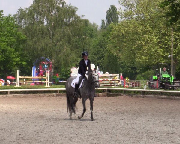Reitturnier Hamm-Rhynern 2024