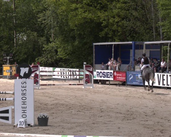 Reitturnier Hellefeld 2024