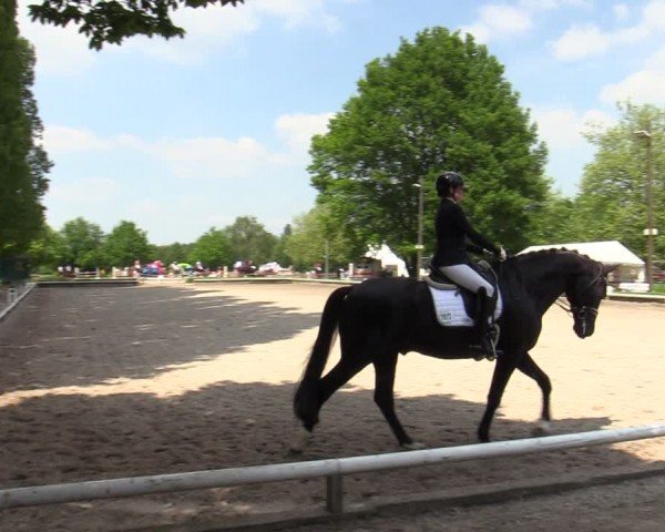Reitturnier Hamm-Rhynern 2024