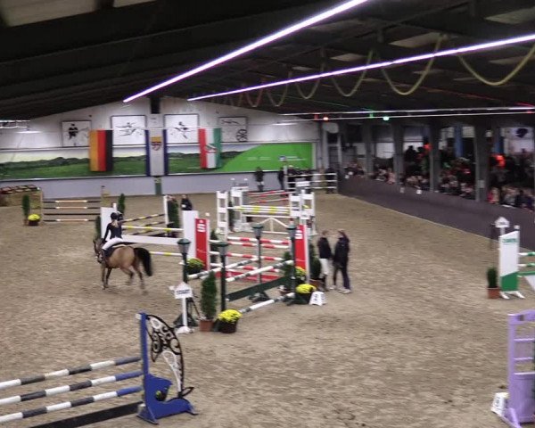 23. Legdener Ponymeeting 2021