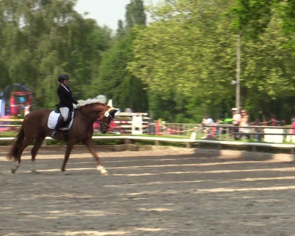 Reitturnier Hamm-Rhynern 2024