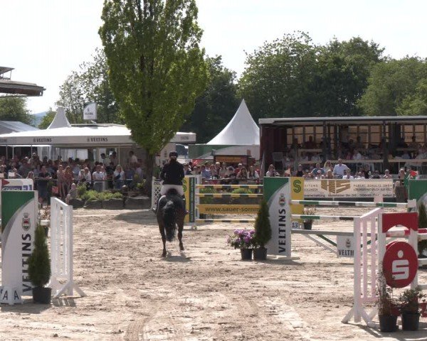 Reitturnier Hellefeld 2024
